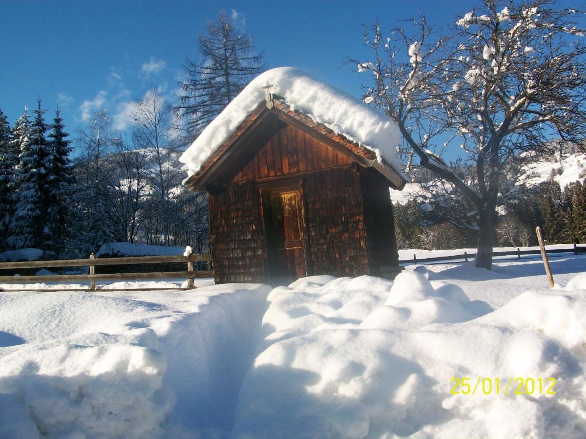 Mitterhaidgut Villa Hollersbach im Pinzgau Luaran gambar