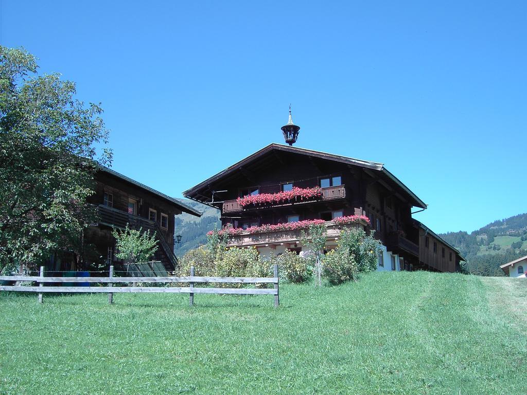 Mitterhaidgut Villa Hollersbach im Pinzgau Luaran gambar