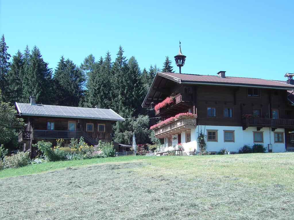 Mitterhaidgut Villa Hollersbach im Pinzgau Luaran gambar