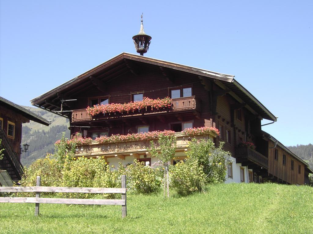 Mitterhaidgut Villa Hollersbach im Pinzgau Luaran gambar