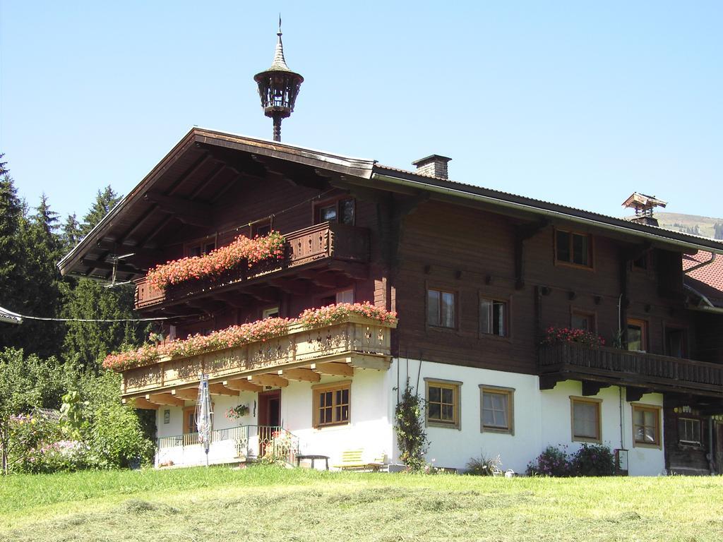 Mitterhaidgut Villa Hollersbach im Pinzgau Luaran gambar